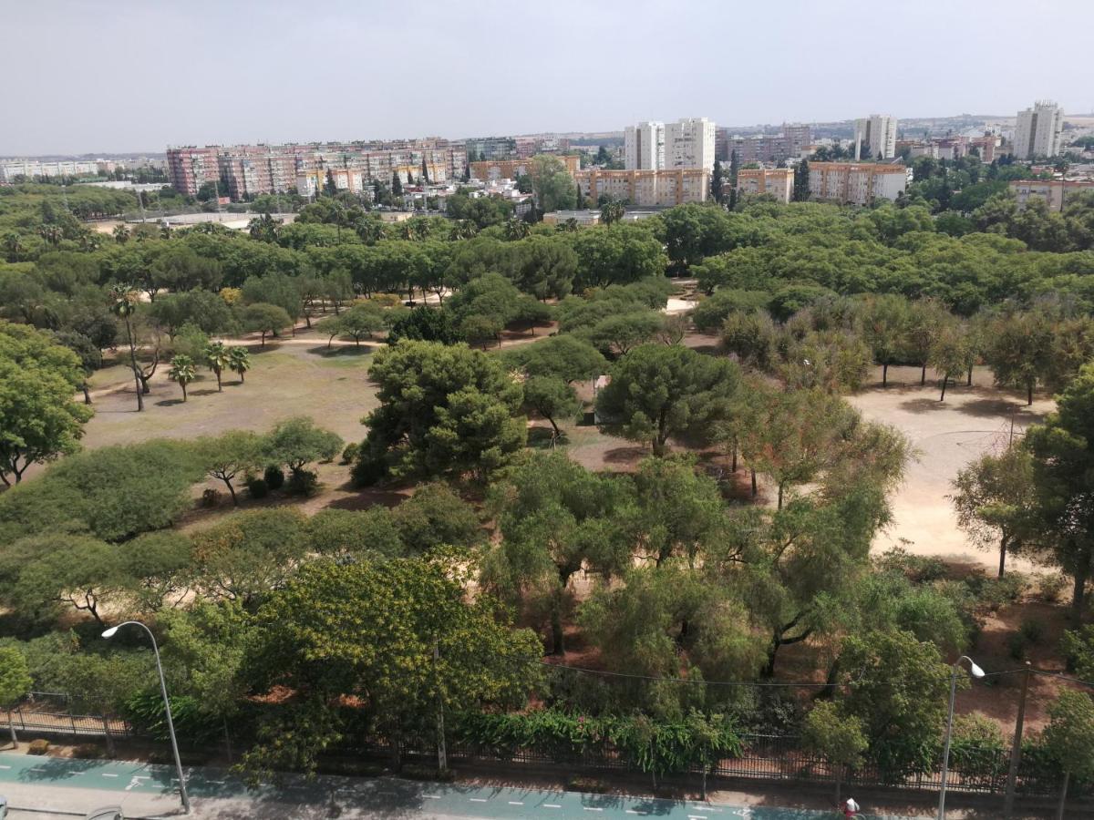 Apartamentos Flamenco B&B Севиля Екстериор снимка