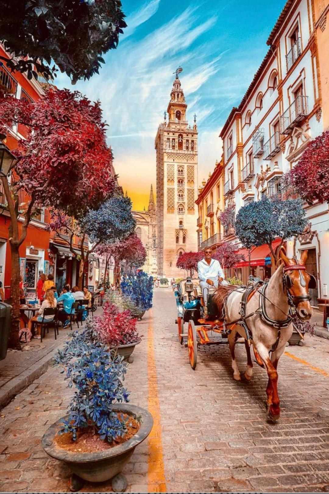 Apartamentos Flamenco B&B Севиля Екстериор снимка